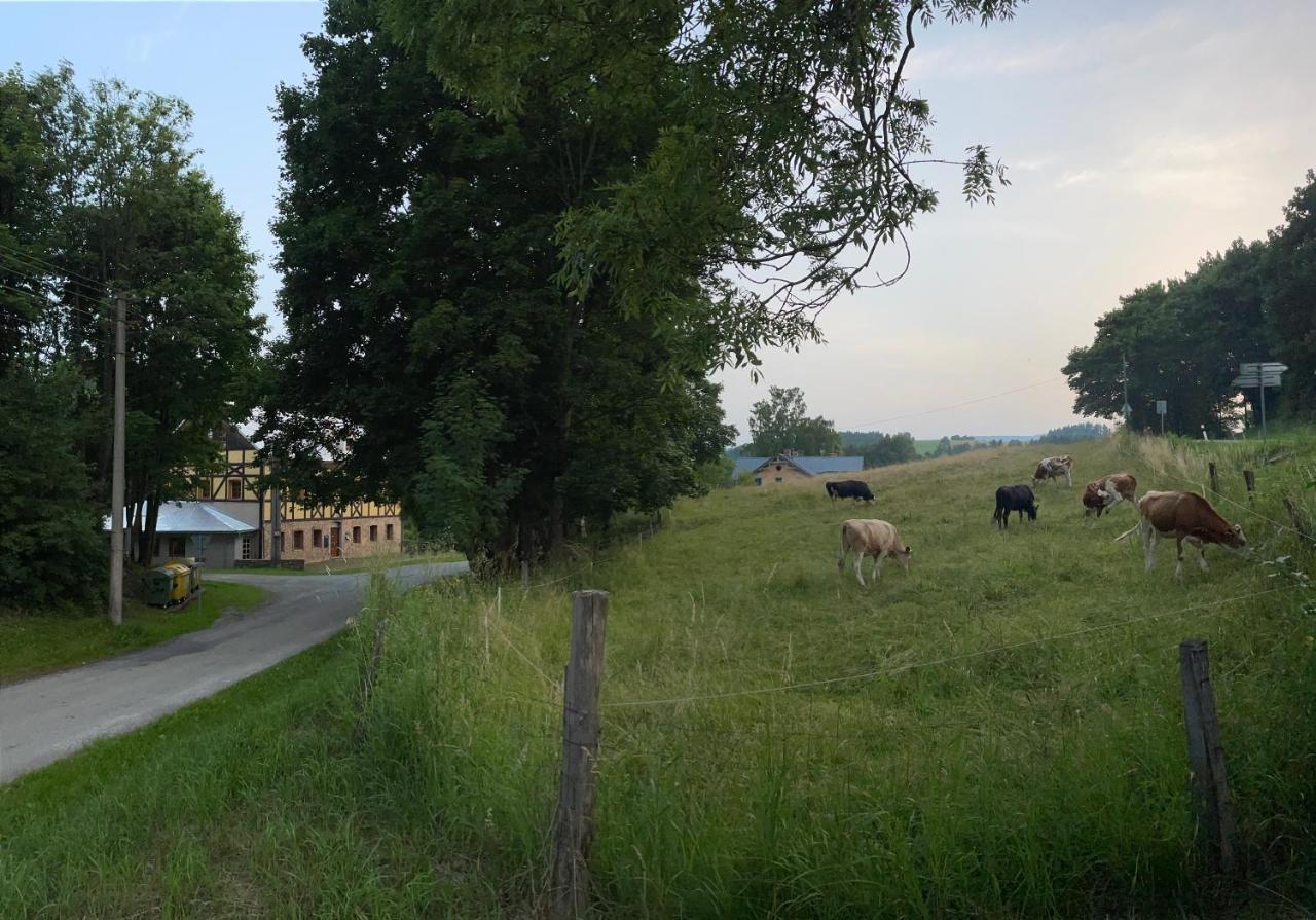 Penzion Stara Skola Vikantice エクステリア 写真